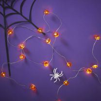 Mini pompoen LED licht slinger